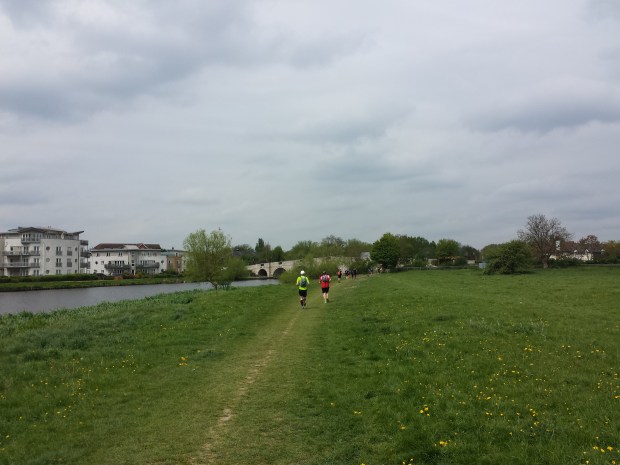 Lovely open fields and bouncy grass