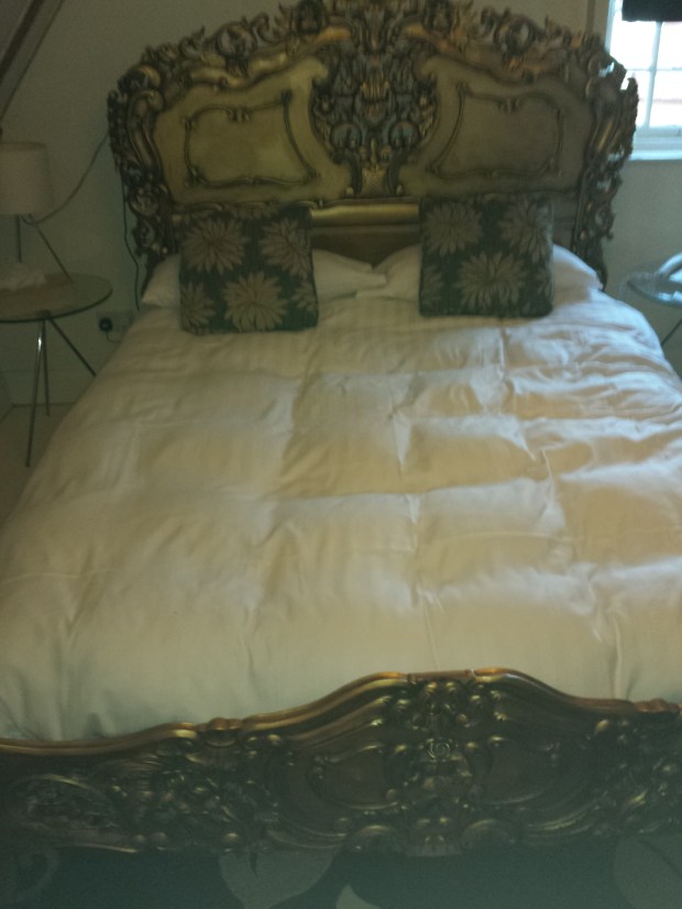 Rather a posh bed for me, but I did sleep well!