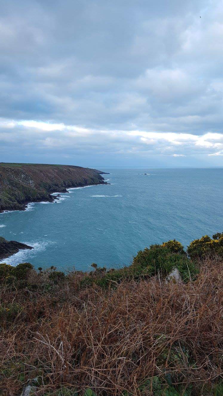 fb_img_1487188845402