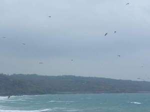 fb_img_1487327012240